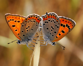 תערוכת צילומי טבע, מוזיאון אר ישראל, פעילות לילדים בתל אביב, אטרקציות לילדים